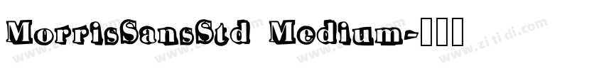 MorrisSansStd Medium字体转换